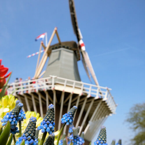 Niederlande Windmühle