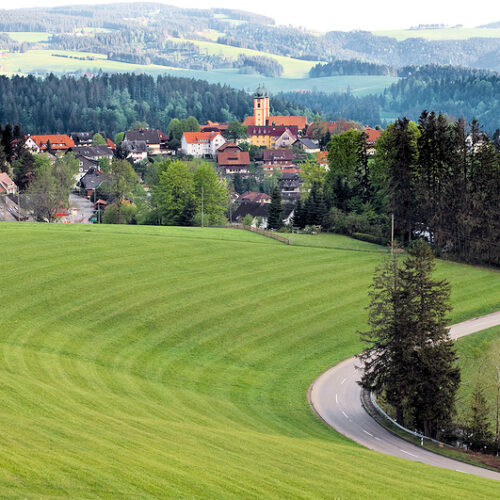 Schwarzwald - Landschaft