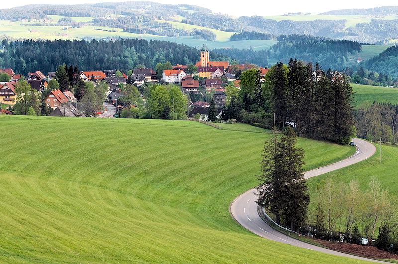 Schwarzwald - Landschaft