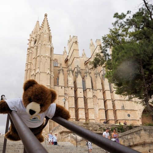 Der Urlaubär vor der Kathedrale in Palma