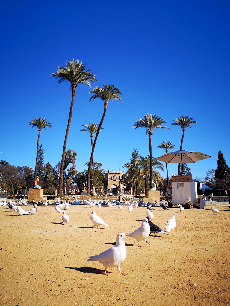 Spanien zu Fuß - Park in Sevilla