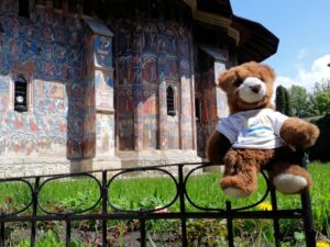 Bär im Kloster Moldovita