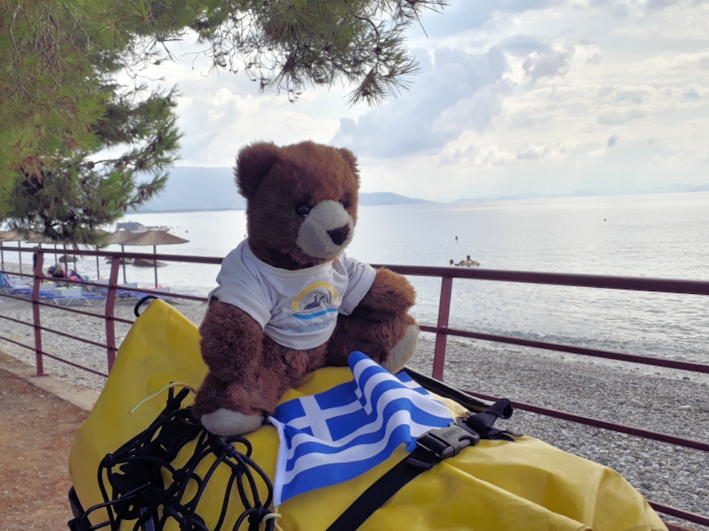 Ein müder Bär am Strand in Griechenland Nähe Korinth