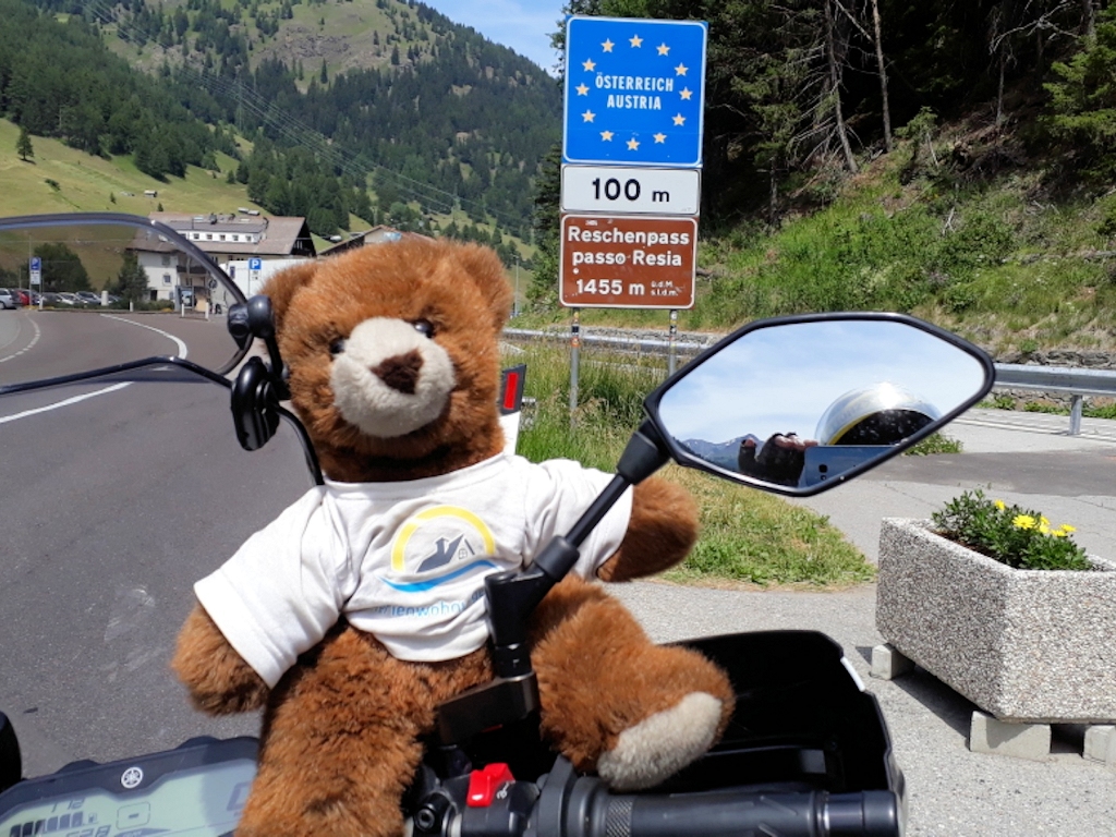 Urlaubär an Grenze zwischen Italien und Österreich am Reschenpass