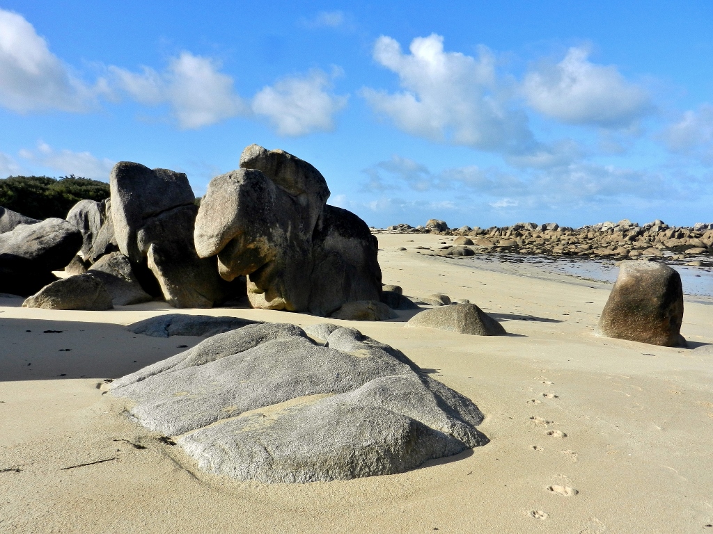 Nordbretagne - Fantastische Tierwesen und wo sie zu finden sind: am Strand von Pontusval
