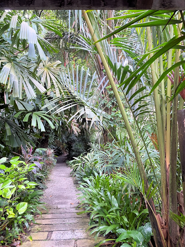 Im tropischen Gewürzgarten