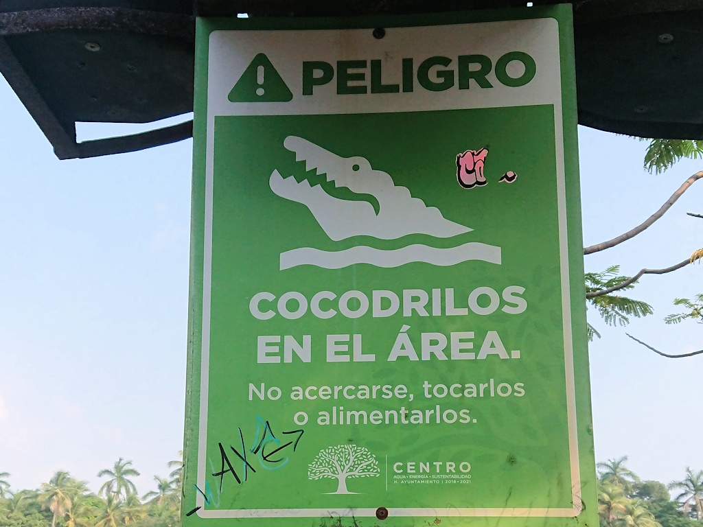 Krokodile in Villahermosa